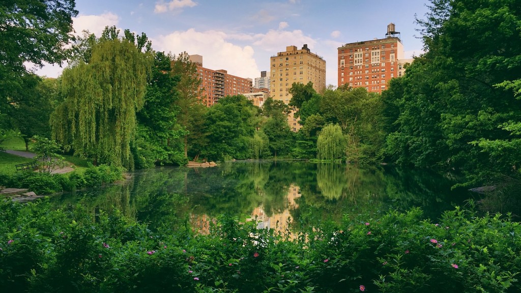 Adakah Nik Wallenda Berjaya Di Central Park