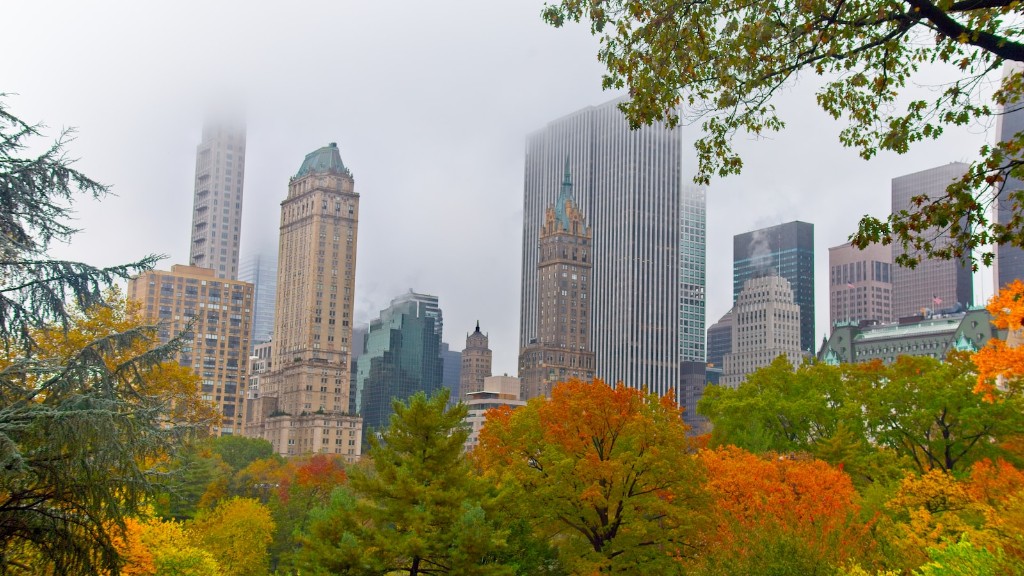 Adakah Trump Mengulas Mengenai Central Park Nine
