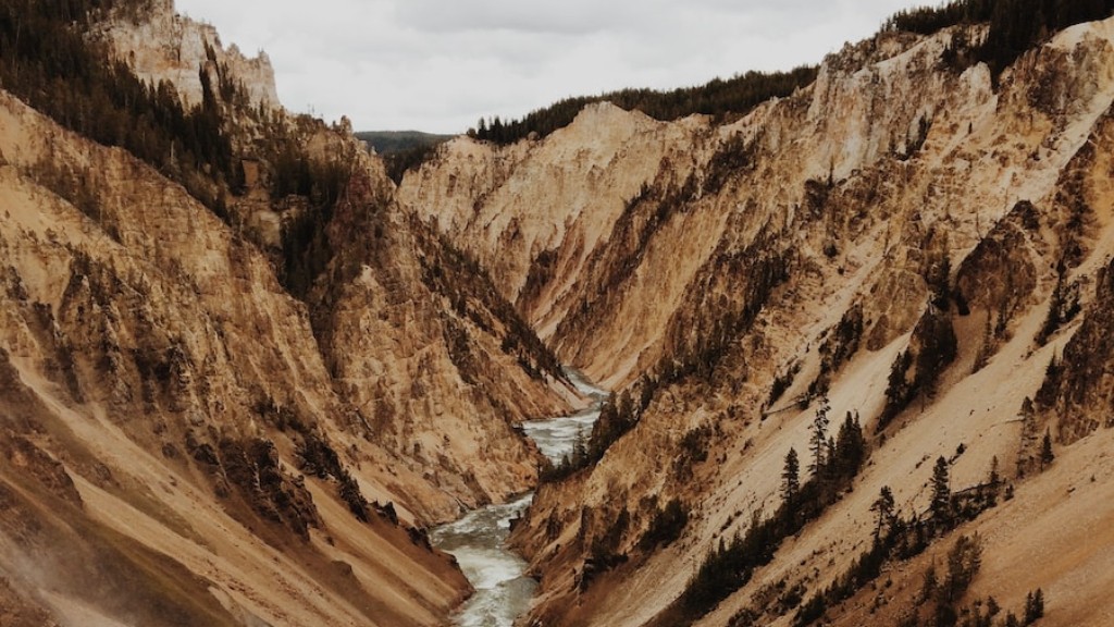 Apakah Ekosistem Taman Negara Yellowstone